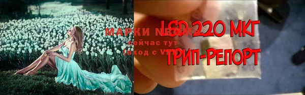 кокс Верея