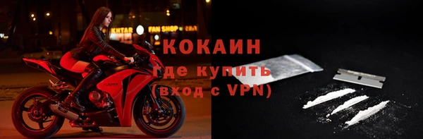 кокс Вяземский
